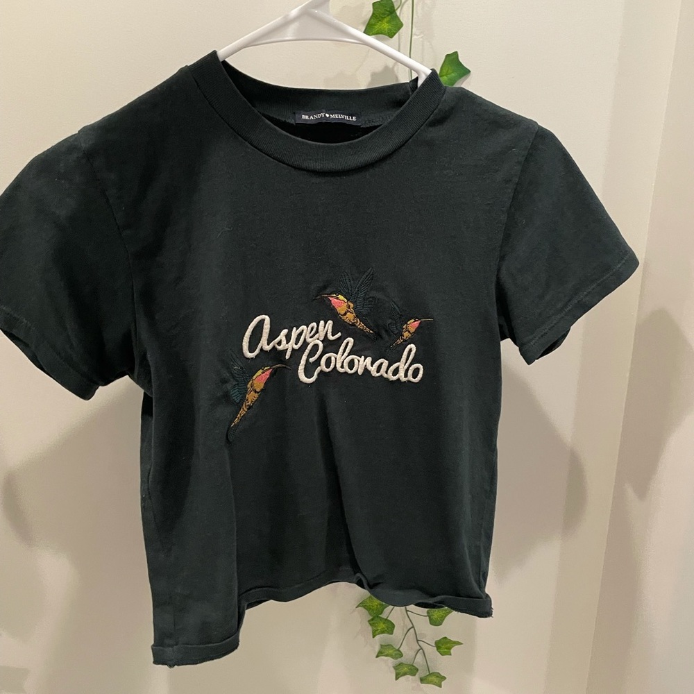 john galt brandy melville aspen colorado tee